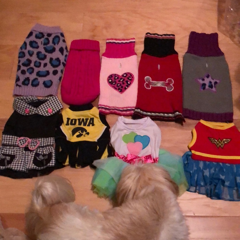 Xxs / XS dog sweaters